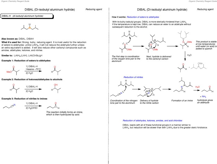 Acs exam finals infographic exams chem questions