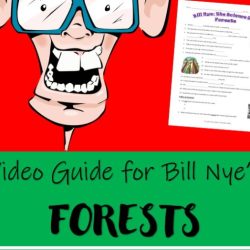 Bill nye forests video worksheet answers