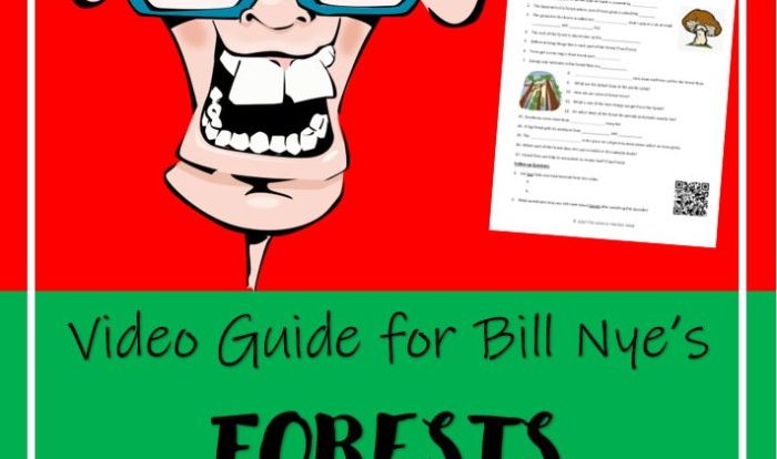 Bill nye forests video worksheet answers