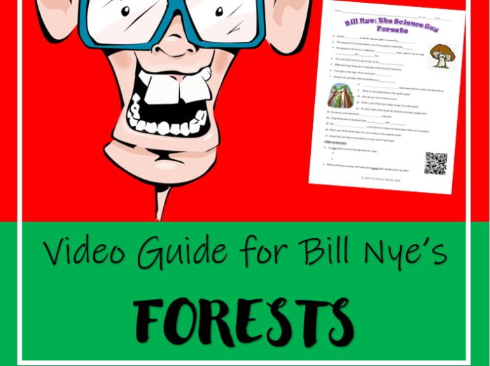 Bill nye forests video worksheet answers