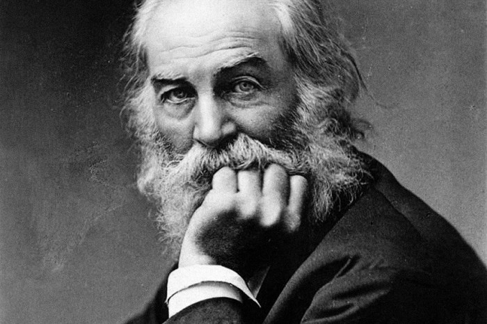 With which statement would walt whitman most likely agree