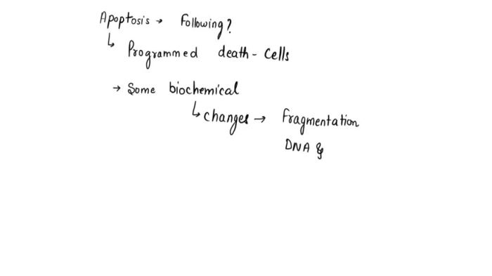 Apoptosis morphology changes during detecting progression