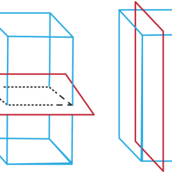 Three-dimensional figures and cross sections assignment