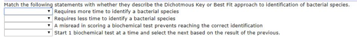 Extension questions model 4 dichotomous key answers