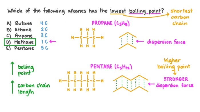 Which of the following molecules has the highest boiling point